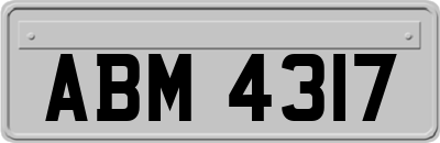 ABM4317