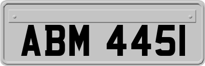 ABM4451