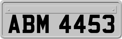ABM4453