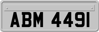 ABM4491