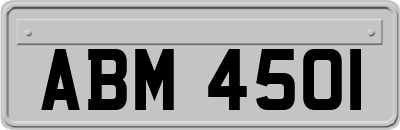 ABM4501
