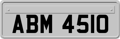 ABM4510