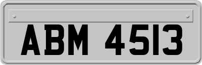 ABM4513