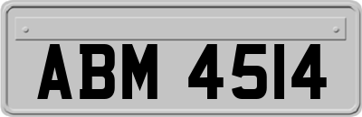 ABM4514