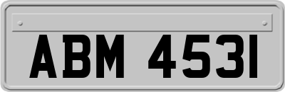 ABM4531