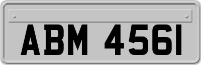 ABM4561