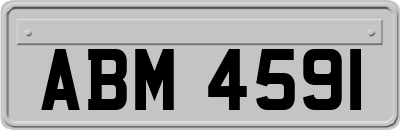 ABM4591