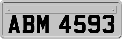 ABM4593