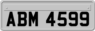 ABM4599