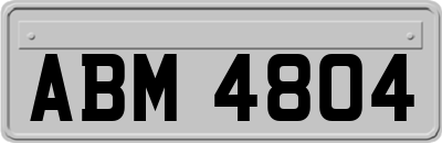 ABM4804