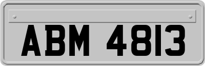 ABM4813