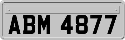 ABM4877