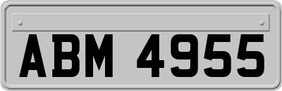 ABM4955