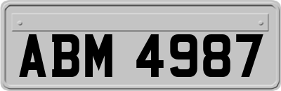 ABM4987