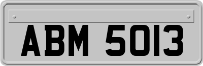 ABM5013