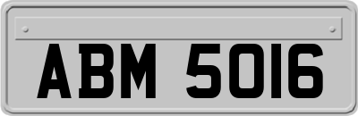 ABM5016