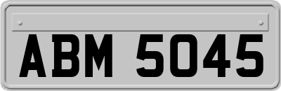 ABM5045