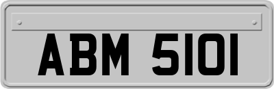 ABM5101