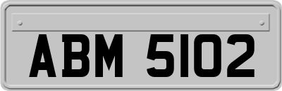 ABM5102