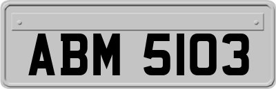 ABM5103