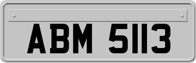 ABM5113
