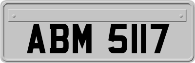 ABM5117