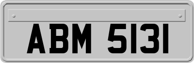 ABM5131
