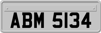 ABM5134