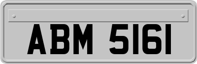 ABM5161