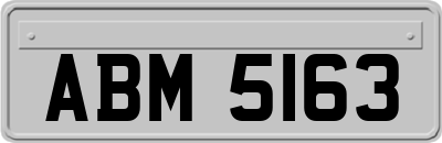 ABM5163