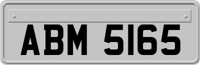 ABM5165