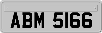 ABM5166