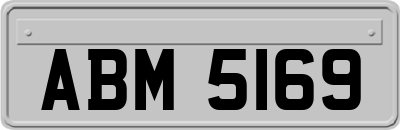 ABM5169