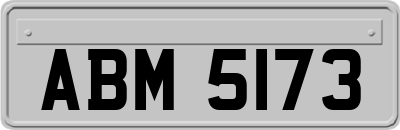 ABM5173