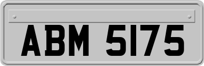 ABM5175