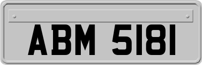 ABM5181