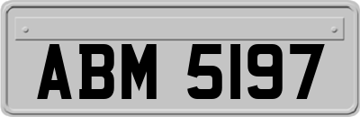 ABM5197