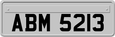 ABM5213