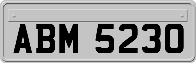 ABM5230