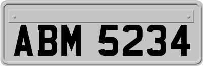 ABM5234