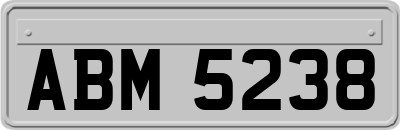 ABM5238