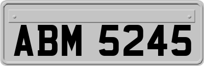 ABM5245