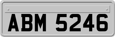 ABM5246
