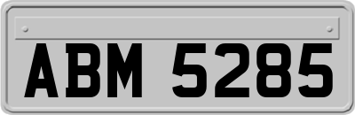 ABM5285