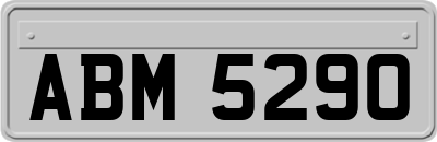 ABM5290