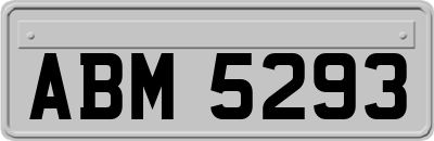 ABM5293