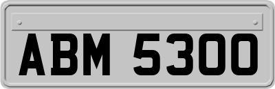 ABM5300