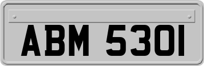 ABM5301