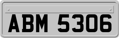 ABM5306