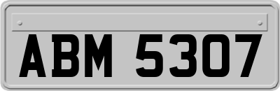 ABM5307